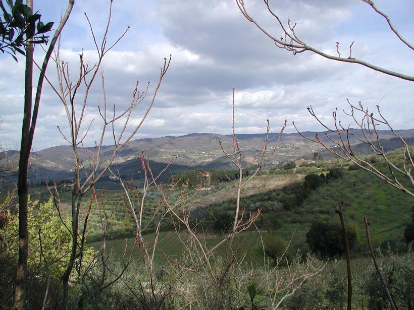 Ferienwohnung Agriturismo Podere La Casa Panzano in Chianti Exterior foto